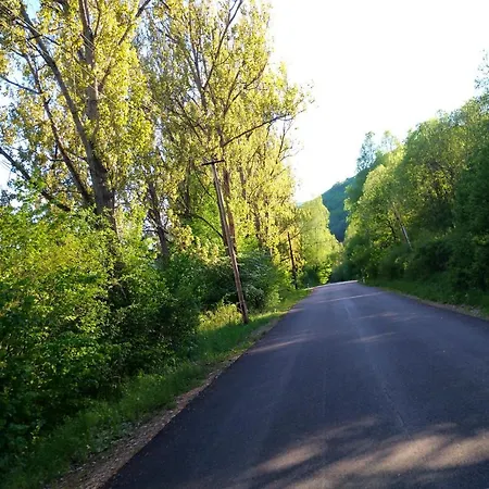 Malebná Chata V Lese
